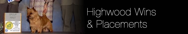 Highwood's Wins & Placements